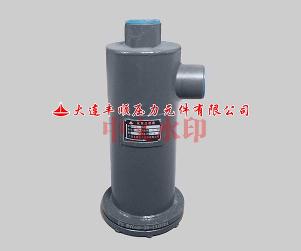 氨泵過(guo)濾器